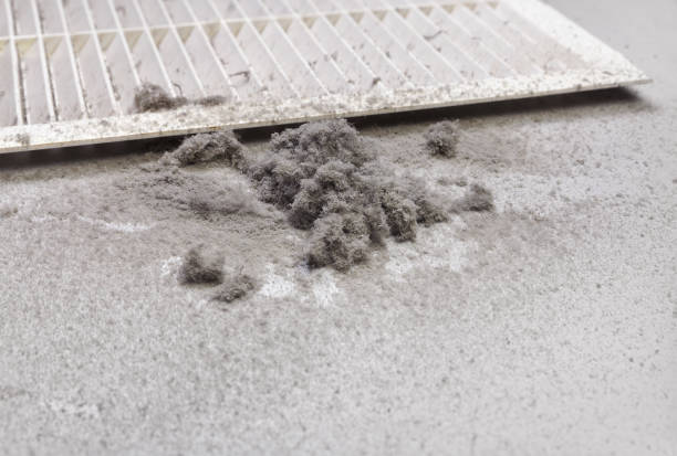 Best Ductwork Cleaning Services  in Pleasantville, IA
