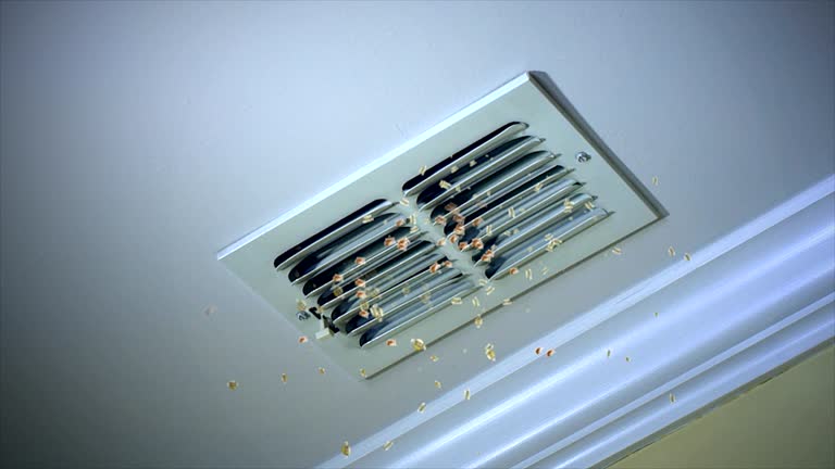 Best Affordable Duct Cleaning Services  in Pleasantville, IA