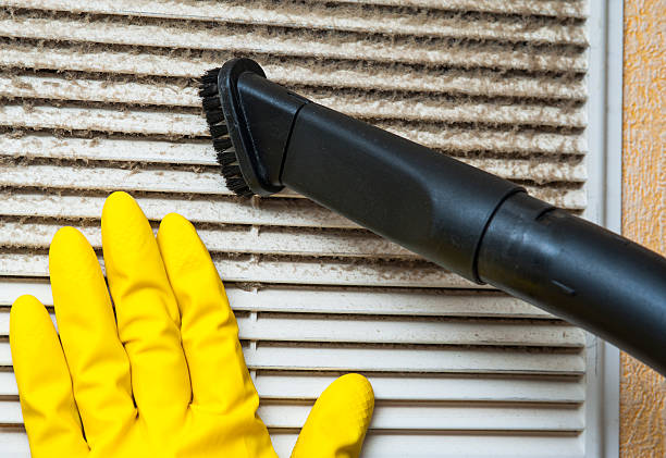 Best Air Duct Inspection  in Pleasantville, IA
